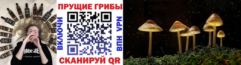 где найти наркотики  Струнино  Галлюциногенные грибы мухоморы 